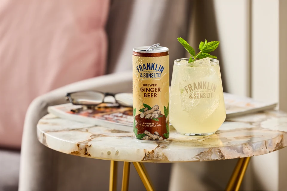 Oficiální skupinová lifestyle fotografie produktů F&S Ginger Beer plechovka 0,15l, F&S limonáda Malina plechovka 0,25l, F&S limonáda Bezinka plechovka 0,25l, F&S limonáda Pampeliška & Lopuch 0,275l.