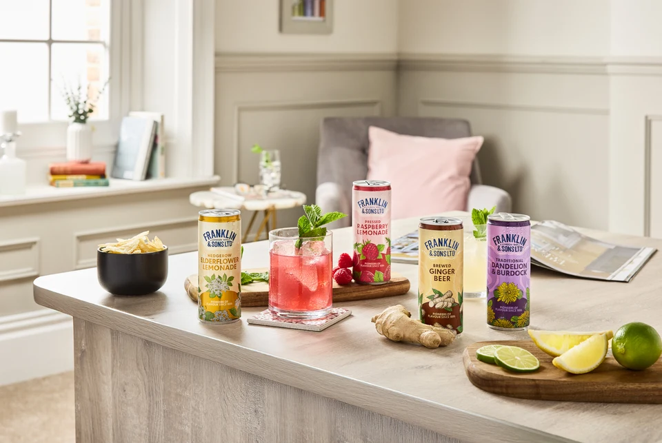 Oficiální skupinová lifestyle fotografie produktů F&S Ginger Beer plechovka 0,15l, F&S limonáda Malina plechovka 0,25l, F&S limonáda Bezinka plechovka 0,25l, F&S limonáda Pampeliška & Lopuch 0,275l.