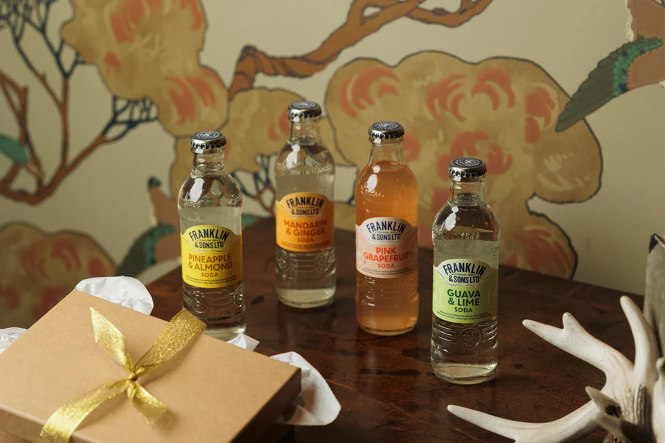 Oficiální skupinová lifestyle fotografie produktů F&S Ginger Beer 0,2l, F&S Ginger Beer plechovka 0,15l, F&S limonáda Pampeliška & Lopuch 0,275l, F&S limonáda Malina 0,275l, F&S limonáda Malina plechovka 0,25l, F&S limonáda Bezinka 0,275l, F&S limonáda Bezinka plechovka 0,25l, F&S limonáda Růže 0,275l, F&S limonáda Broskev & Mango 0,275l, F&S limonáda Jablko & Hruška 0,275l.
