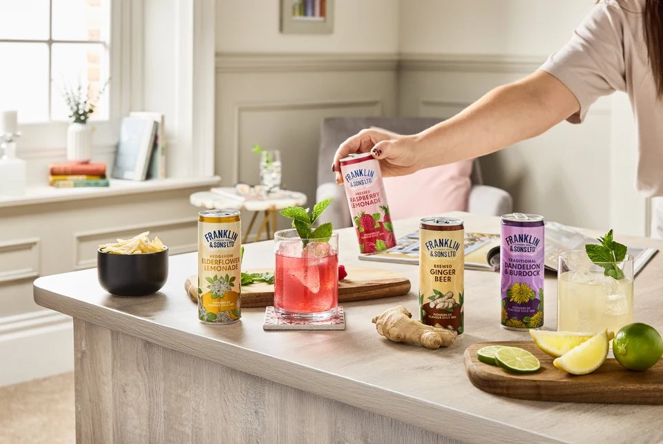 Oficiální skupinová lifestyle fotografie produktů F&S Ginger Beer plechovka 0,15l, F&S limonáda Malina plechovka 0,25l, F&S limonáda Bezinka plechovka 0,25l, F&S limonáda Pampeliška & Lopuch 0,275l.