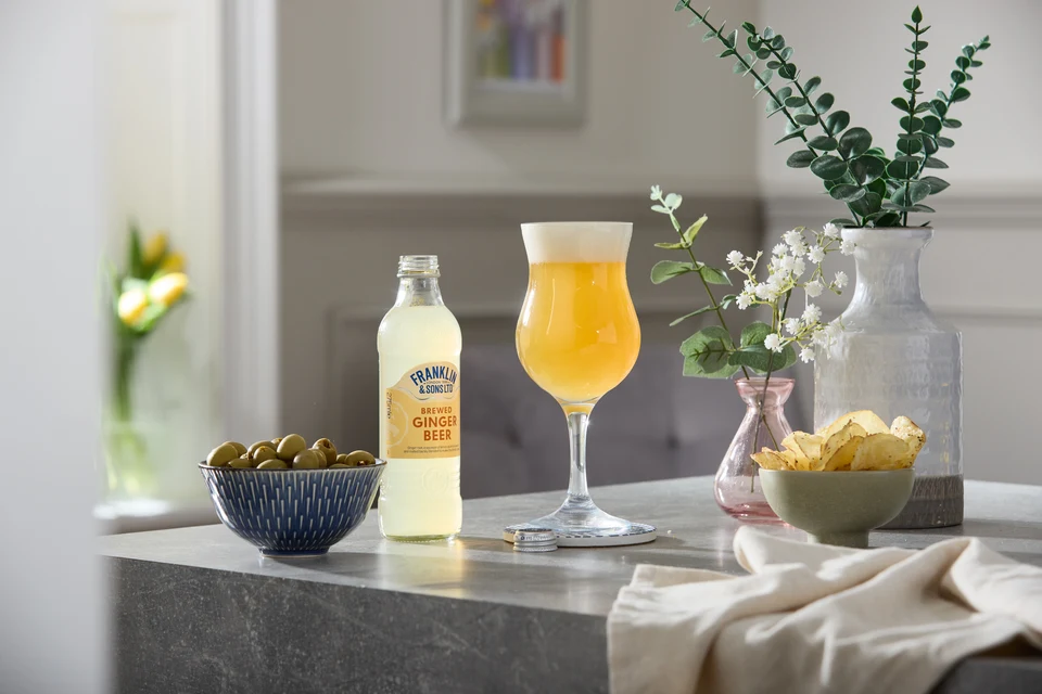 Oficiální lifestyle fotografie produktu F&S limonáda Bezinka 0,275l.