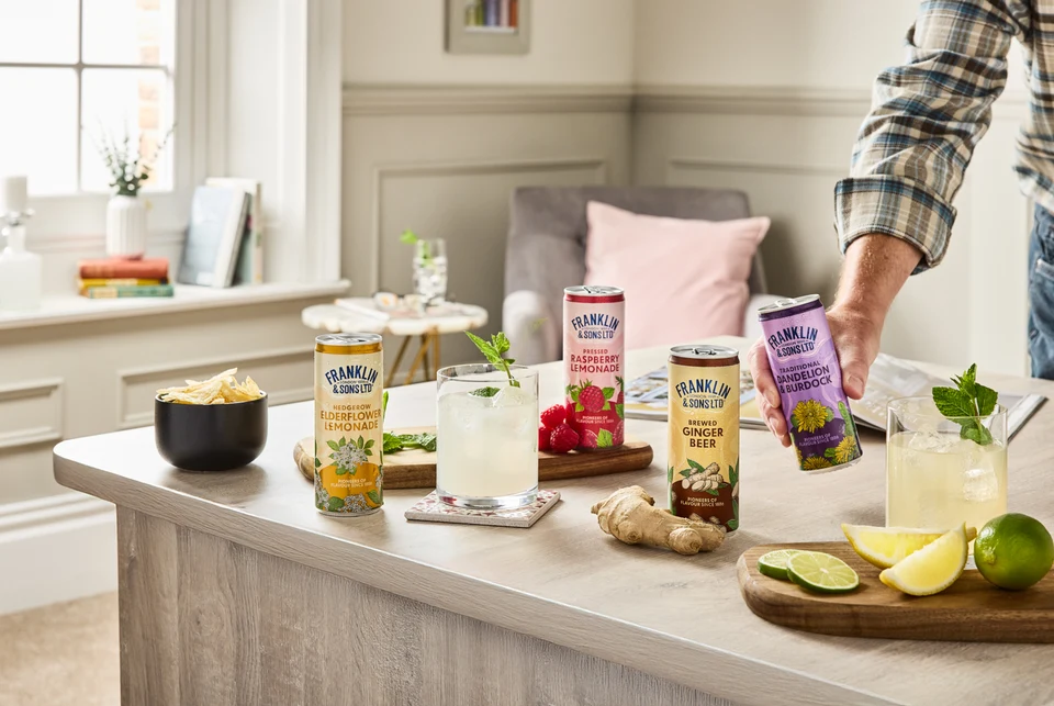 Oficiální skupinová lifestyle fotografie produktů F&S Ginger Beer plechovka 0,15l, F&S limonáda Malina plechovka 0,25l, F&S limonáda Bezinka plechovka 0,25l, F&S limonáda Pampeliška & Lopuch 0,275l.