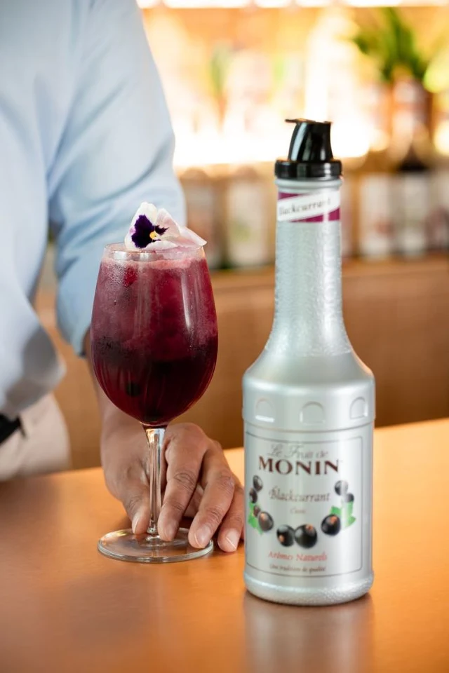 Monin pyré Rybíz černý 1l