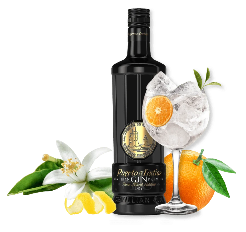 Puerto de Indias Gin Black Edition 40% Gift Box 0,7l