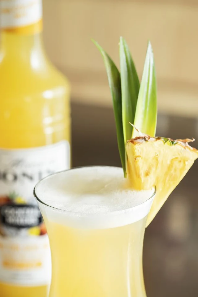 Monin mixeur Piňa Colada 1l