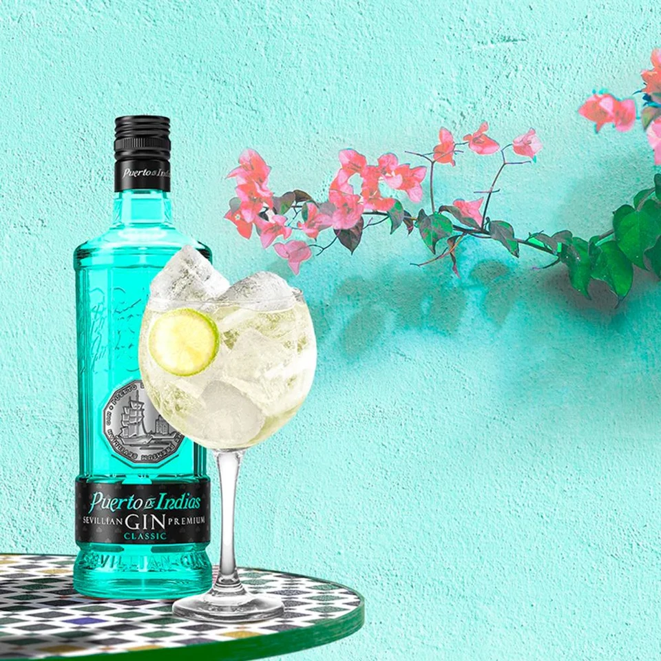 Puerto de Indias Gin Classic 40% 0,7l