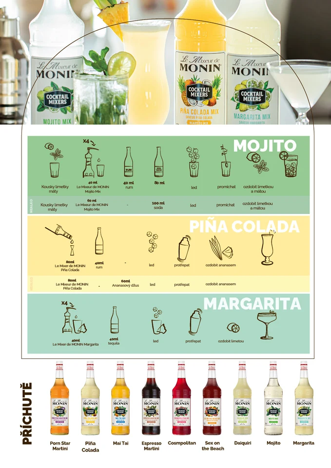 MONIN LeMixeur 20263