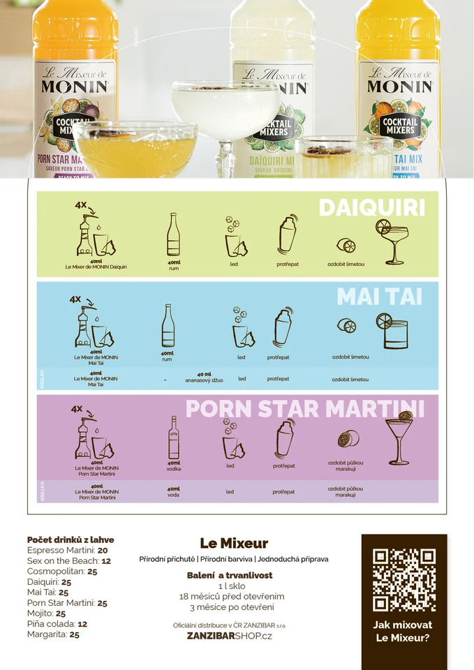 MONIN LeMixeur 20264
